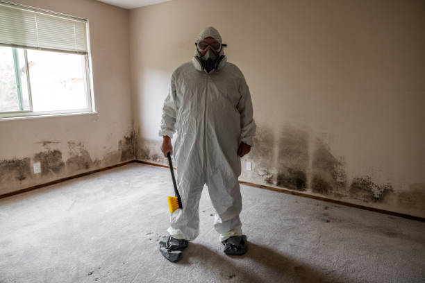 Best Commercial Mold Remediation in Flower Hill, MD